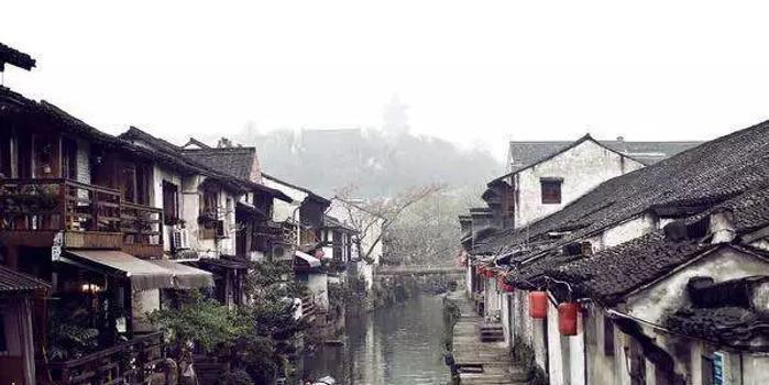 妙可蓝多去年预盈至少4800万:同比降超四成,奶酪业务收...