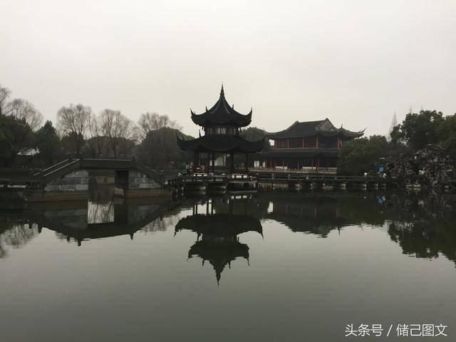 白莲花守则